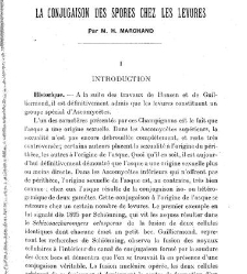 Revue g&eacute;n&eacute;rale de botanique (Paris)(1913) document 152900