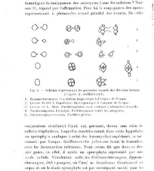 Revue g&eacute;n&eacute;rale de botanique (Paris)(1913) document 152903