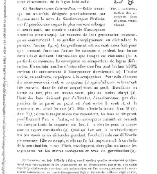 Revue g&eacute;n&eacute;rale de botanique (Paris)(1913) document 152908
