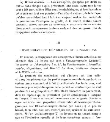 Revue g&eacute;n&eacute;rale de botanique (Paris)(1913) document 152913