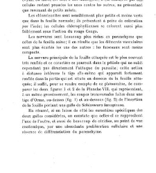 Revue g&eacute;n&eacute;rale de botanique (Paris)(1913) document 152927
