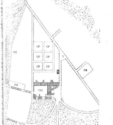 Revue g&eacute;n&eacute;rale de botanique (Paris)(1913) document 152948