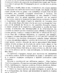 Revue g&eacute;n&eacute;rale de botanique (Paris)(1913) document 152960