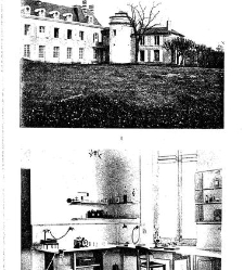 Revue g&eacute;n&eacute;rale de botanique (Paris)(1913) document 152966