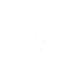 Revue g&eacute;n&eacute;rale de botanique (Paris)(1913) document 152967