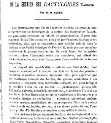 Revue g&eacute;n&eacute;rale de botanique (Paris)(1913) document 152968