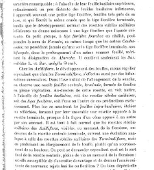 Revue g&eacute;n&eacute;rale de botanique (Paris)(1913) document 152972