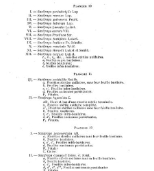 Revue g&eacute;n&eacute;rale de botanique (Paris)(1913) document 152979