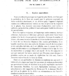 Revue g&eacute;n&eacute;rale de botanique (Paris)(1913) document 153003