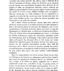 Revue g&eacute;n&eacute;rale de botanique (Paris)(1913) document 153005
