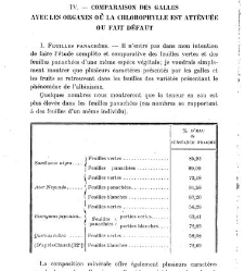 Revue g&eacute;n&eacute;rale de botanique (Paris)(1913) document 153045