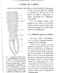 Revue g&eacute;n&eacute;rale de botanique (Paris)(1913) document 153094