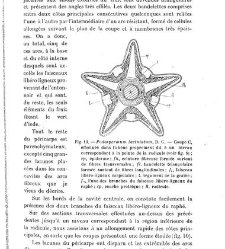 Revue g&eacute;n&eacute;rale de botanique (Paris)(1913) document 153106