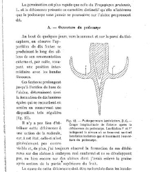 Revue g&eacute;n&eacute;rale de botanique (Paris)(1913) document 153108