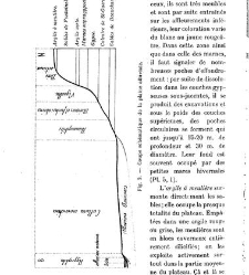 Revue g&eacute;n&eacute;rale de botanique (Paris)(1913) document 153121