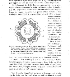 Revue g&eacute;n&eacute;rale de botanique (Paris)(1913) document 153131