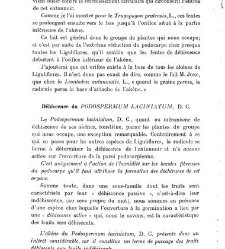 Revue g&eacute;n&eacute;rale de botanique (Paris)(1913) document 153137