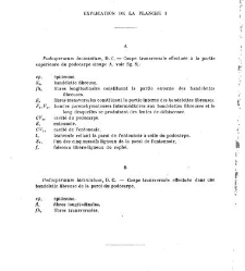 Revue g&eacute;n&eacute;rale de botanique (Paris)(1913) document 153139
