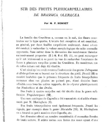 Revue g&eacute;n&eacute;rale de botanique (Paris)(1913) document 153140