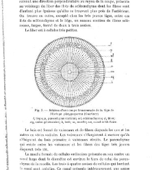Revue g&eacute;n&eacute;rale de botanique (Paris)(1913) document 153150