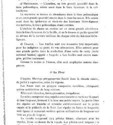 Revue g&eacute;n&eacute;rale de botanique (Paris)(1913) document 153154