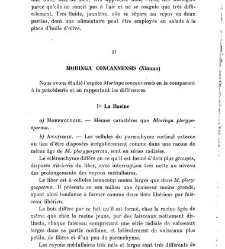 Revue g&eacute;n&eacute;rale de botanique (Paris)(1913) document 153159