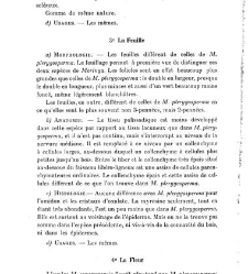 Revue g&eacute;n&eacute;rale de botanique (Paris)(1913) document 153161