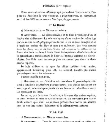 Revue g&eacute;n&eacute;rale de botanique (Paris)(1913) document 153163
