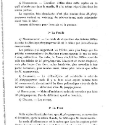 Revue g&eacute;n&eacute;rale de botanique (Paris)(1913) document 153164