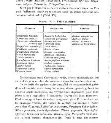 Revue g&eacute;n&eacute;rale de botanique (Paris)(1913) document 153171