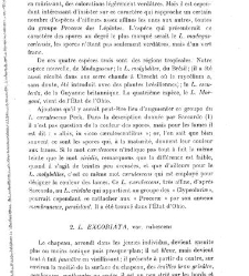 Revue g&eacute;n&eacute;rale de botanique (Paris)(1913) document 153196