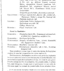 Revue g&eacute;n&eacute;rale de botanique (Paris)(1913) document 153202