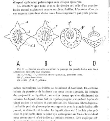 Revue g&eacute;n&eacute;rale de botanique (Paris)(1913) document 153209