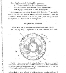 Revue g&eacute;n&eacute;rale de botanique (Paris)(1913) document 153226