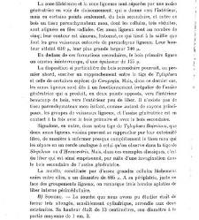 Revue g&eacute;n&eacute;rale de botanique (Paris)(1913) document 153227