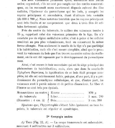 Revue g&eacute;n&eacute;rale de botanique (Paris)(1913) document 153231