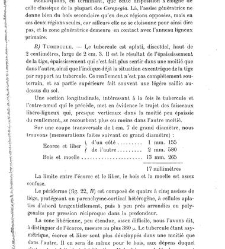 Revue g&eacute;n&eacute;rale de botanique (Paris)(1913) document 153234