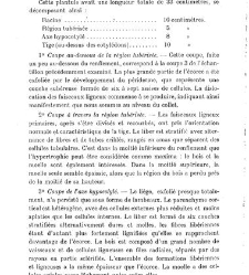 Revue g&eacute;n&eacute;rale de botanique (Paris)(1913) document 153239