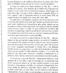 Revue g&eacute;n&eacute;rale de botanique (Paris)(1913) document 153242