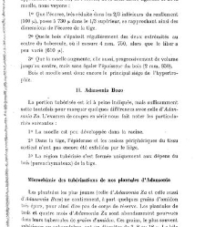 Revue g&eacute;n&eacute;rale de botanique (Paris)(1913) document 153244