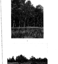 Revue g&eacute;n&eacute;rale de botanique (Paris)(1913) document 153264