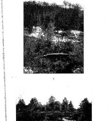 Revue g&eacute;n&eacute;rale de botanique (Paris)(1913) document 153266