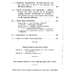 Revue g&eacute;n&eacute;rale de botanique (Paris)(1913) document 153391