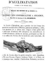 Bulletin de la Société nationale d&apos;acclimatation de France (1896)(1866) document 155778