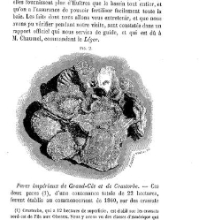 Bulletin de la Société nationale d&apos;acclimatation de France (1896)(1866) document 155782