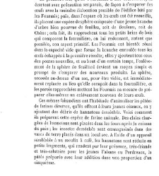 Bulletin de la Soci&eacute;t&eacute; nationale d'acclimatation de France (1896)(1866) document 155855