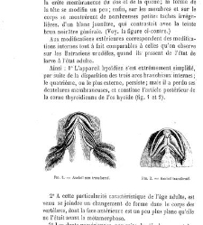 Bulletin de la Société nationale d&apos;acclimatation de France (1896)(1866) document 155859