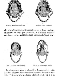 Bulletin de la Société nationale d&apos;acclimatation de France (1896)(1866) document 155860