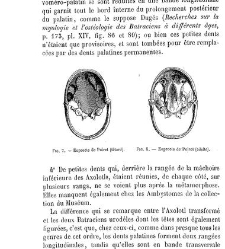 Bulletin de la Société nationale d&apos;acclimatation de France (1896)(1866) document 155861