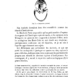 Bulletin de la Société nationale d&apos;acclimatation de France (1896)(1866) document 155863